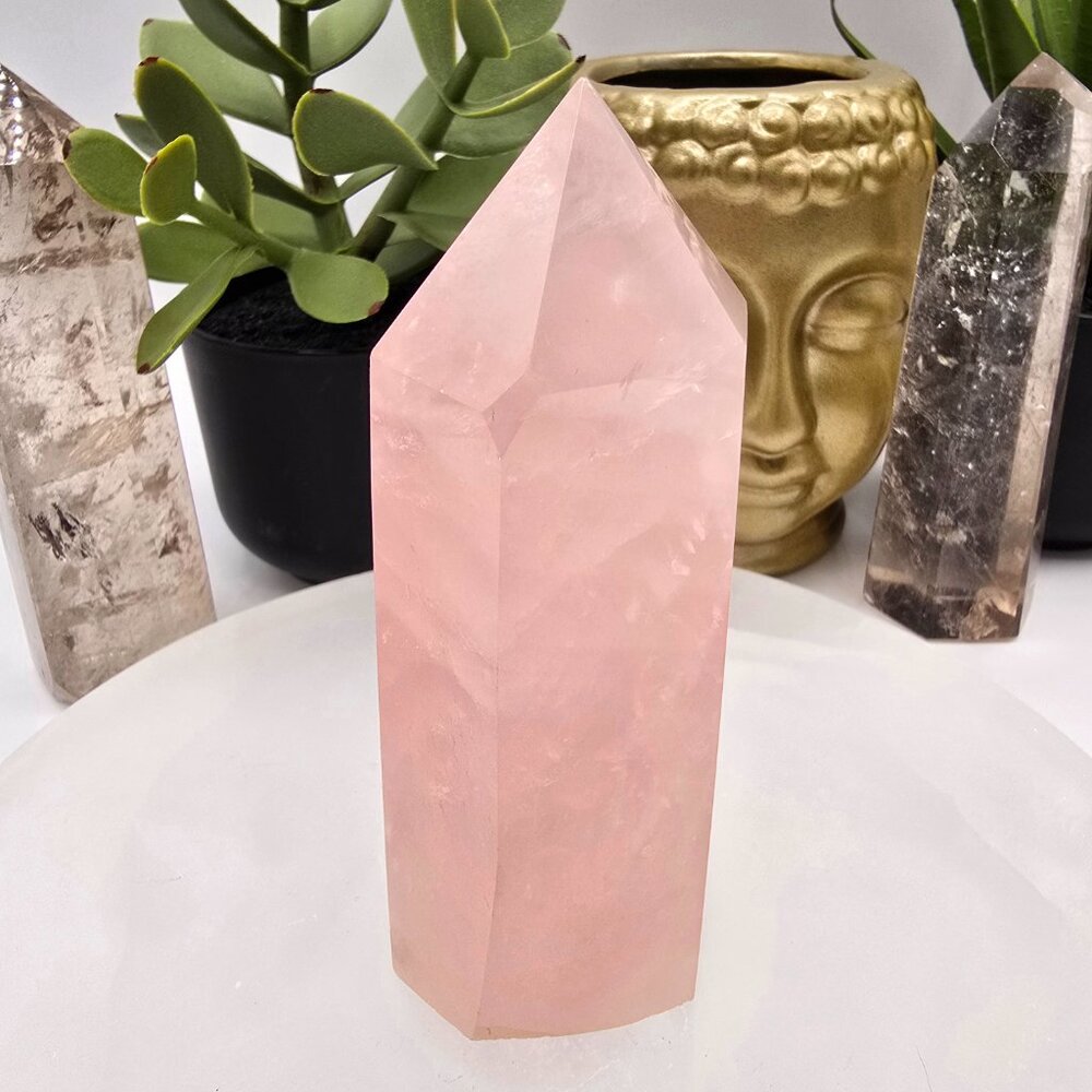 Natural Rose Quartz Point — Loving, Supportive Energy ✨